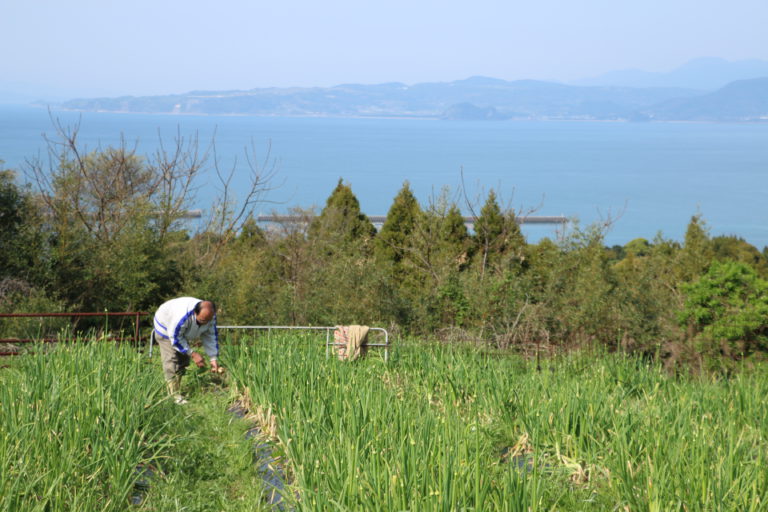 Amakusa Farms Teruaki Babas Seasonal Vegetables