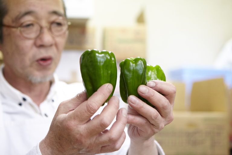 JAPANESE GREEN BELL PEPPER, VEGETABLES, PRODUCTS