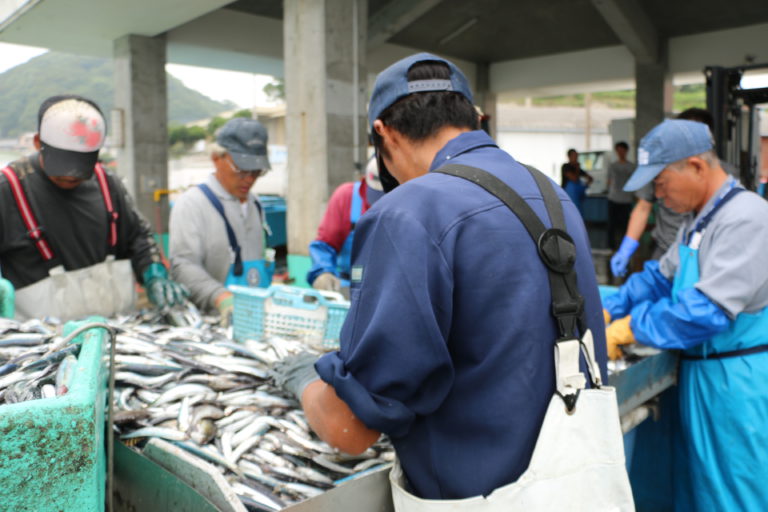 館山の漁港