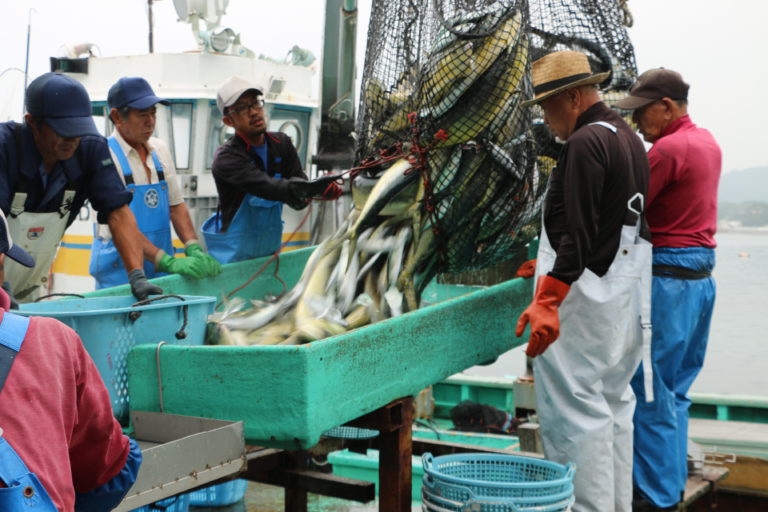 From The Sea To The Table Fishermen Of Tateyama