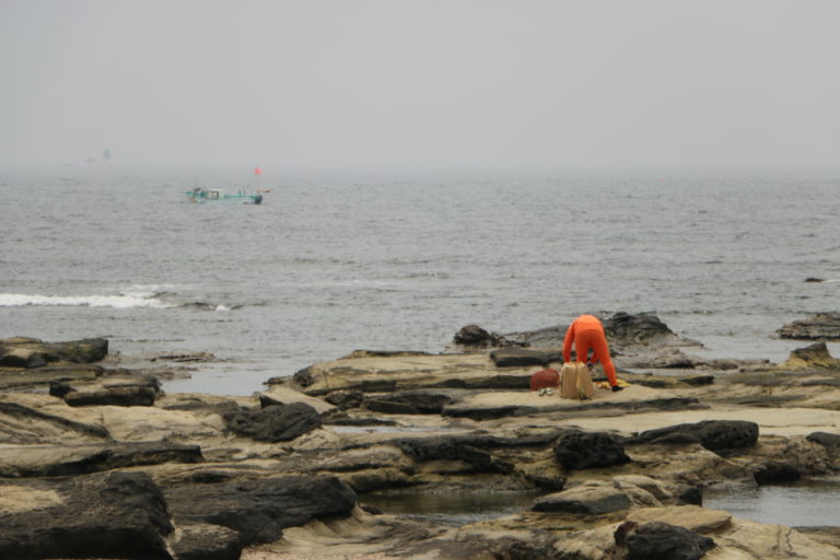 南房総の海女さん