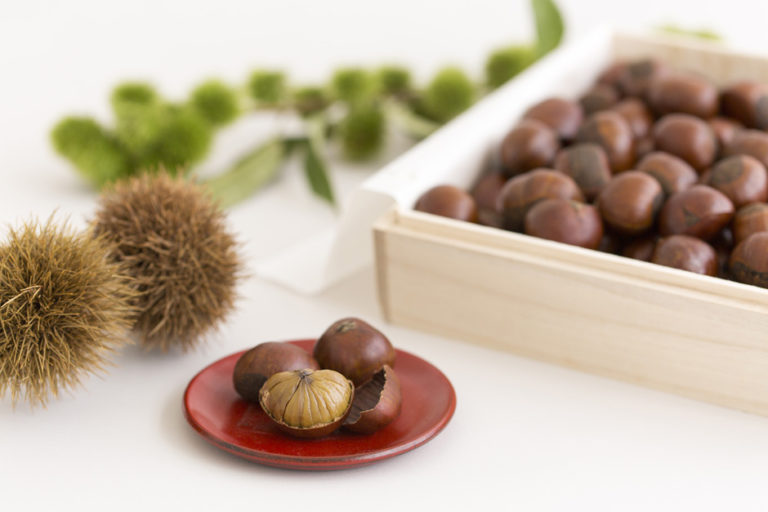 Elegant, Sweet Roasted Chestnuts from a Specialty Store