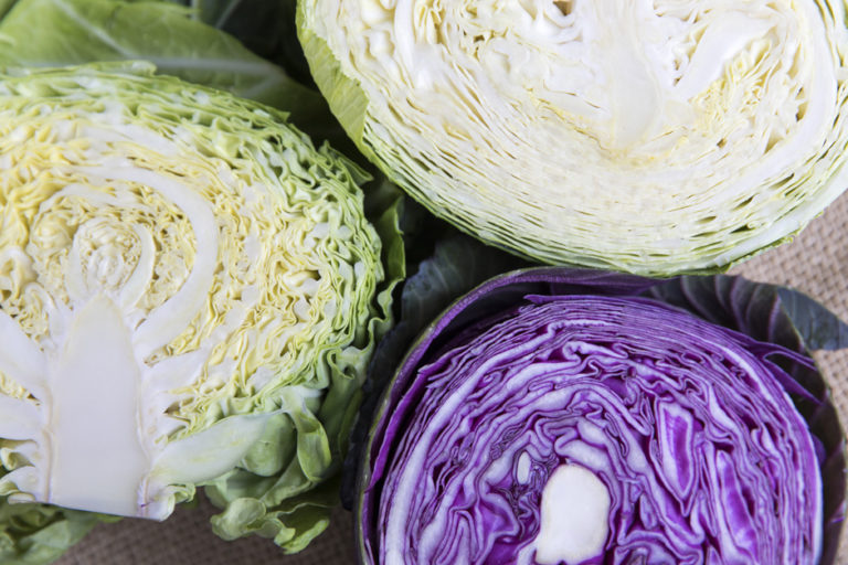 Cabbage, the all-mighty “in-season” vege-table