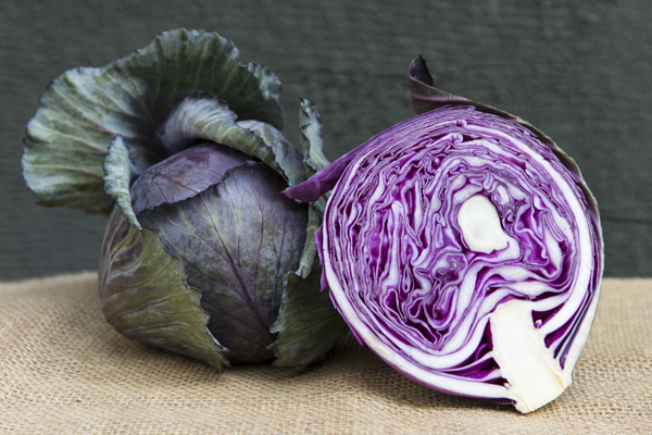 Cabbage The All Mighty In Season Vege Table Shungate