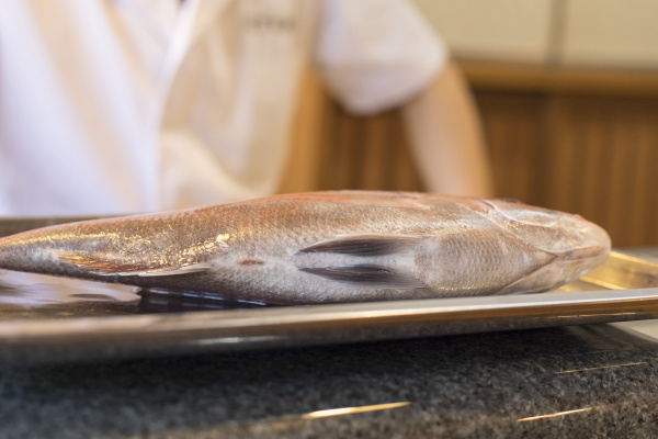 目利きが語る 春が 旬 の魚 桜鯛 Shun Gate 日本の食文化を紹介