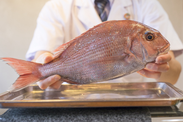 目利きが語る 春が 旬 の魚 桜鯛 Shun Gate 日本の食文化を紹介