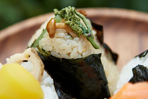 茸（きのこ）と山菜の炊き込み御飯