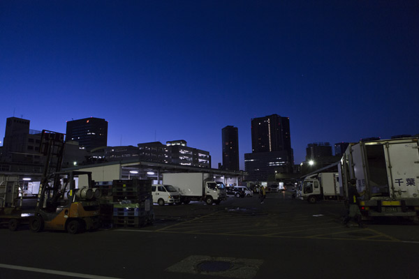 深夜の築地市場