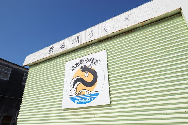 浜名湖養魚漁業共同組合写真