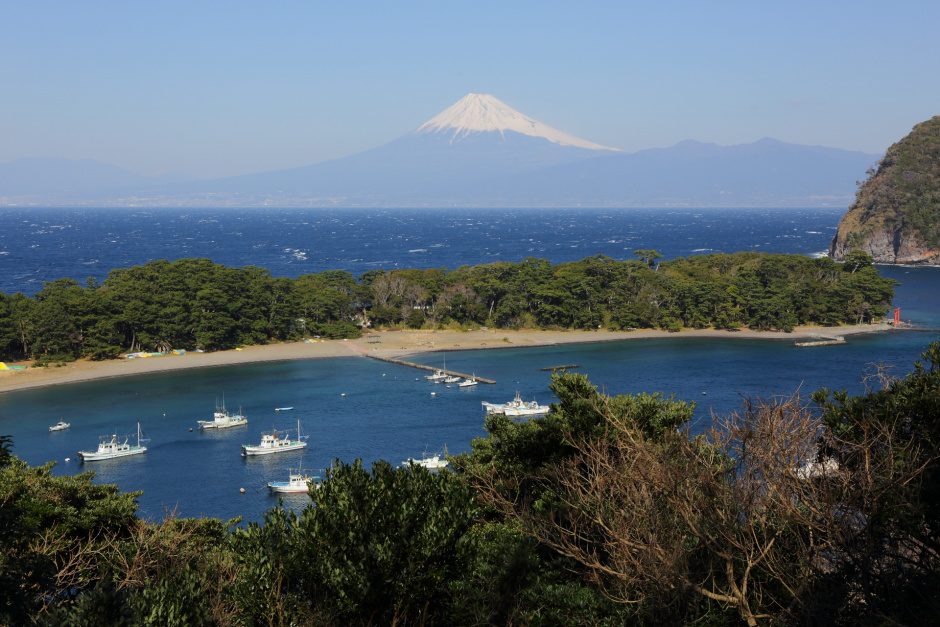 駿河湾