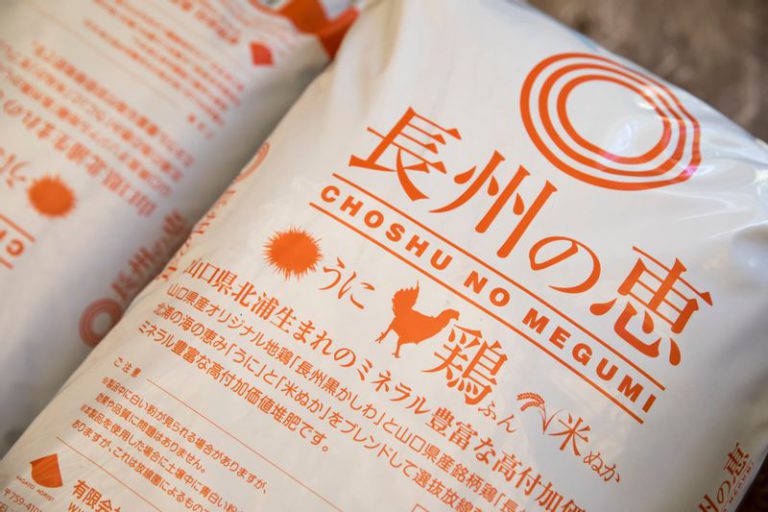 海と山の恵みで育つ地鶏、「長州黒かしわ」 : SHUN GATE : 日本の食文化を紹介
