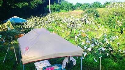 西田果樹園ピーチキャンプ写真