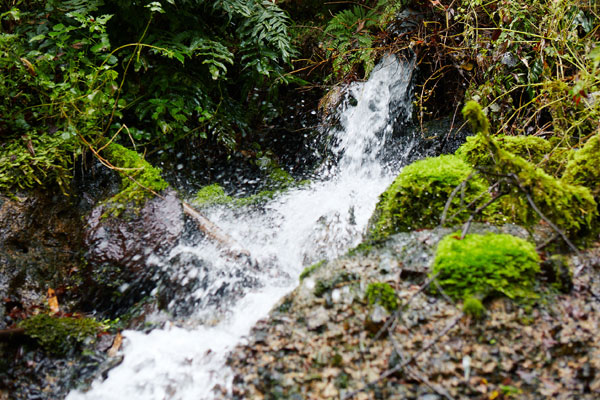 湧水写真