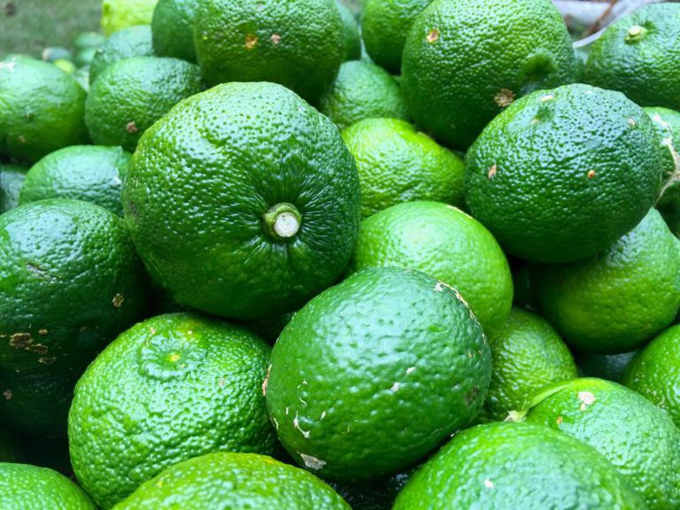 fresh green Yuzu