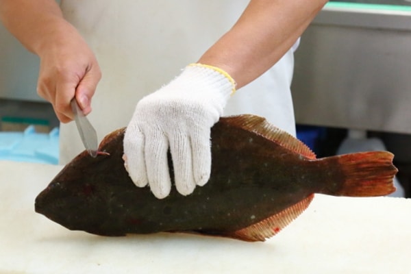 Aomori's Fish “Flounder”