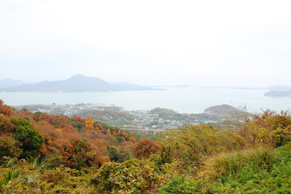 Ikuchijima, Setoda