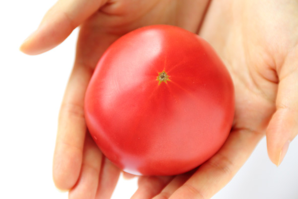 手の上のトマト