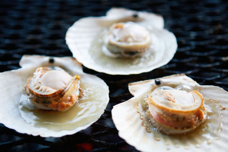 Scallops Raised by the Wisdom of the Older Generation and the Northern Sea