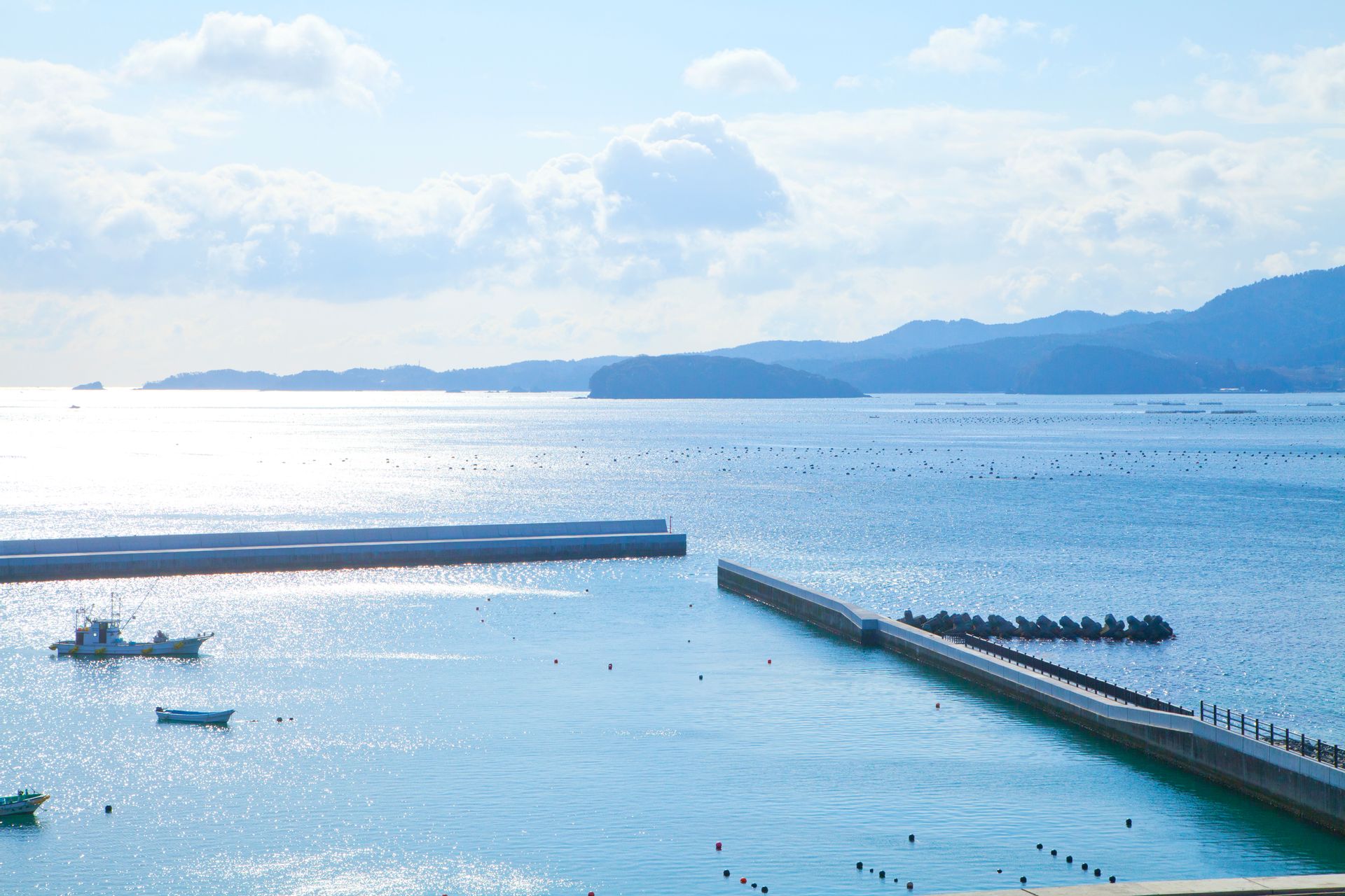 震災から10年。海里山と人の営みが循環するまちを目指して : SHUN GATE