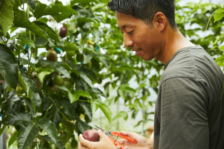 RYO’S FARMの梁寛樹さん