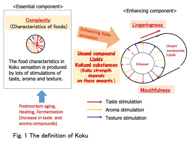 Koku attribute in English