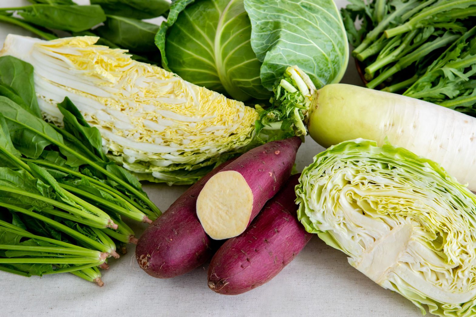 Winter Vegetables Sweetened by the Bitter Cold : SHUNGATE