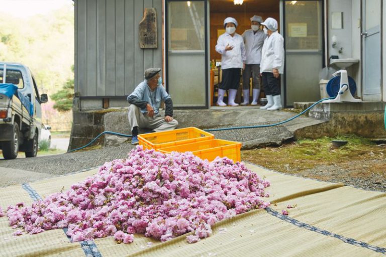 千村桜漬加工所