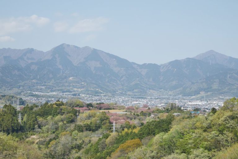 神奈川県秦野市