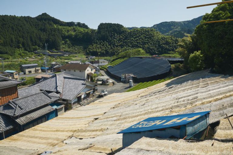 茶田招待處