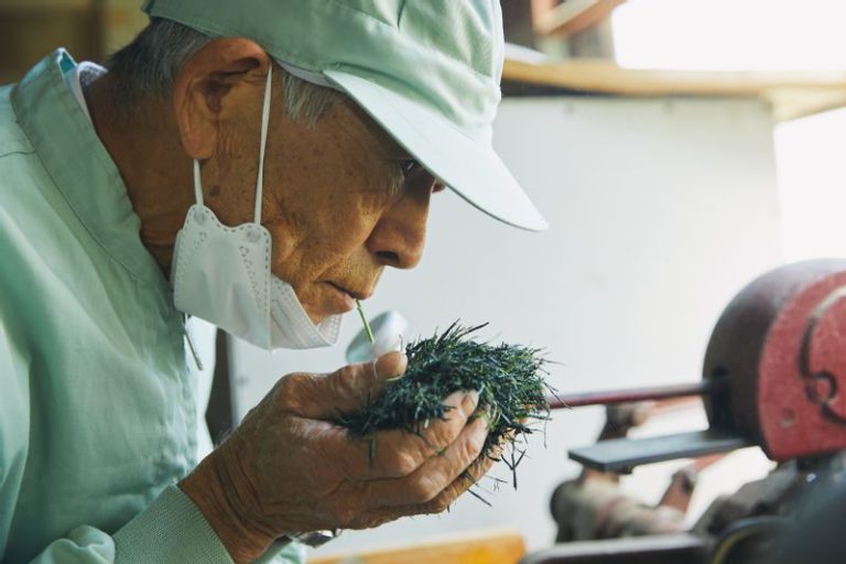 茶葉の香りをかぐ前島東平さん