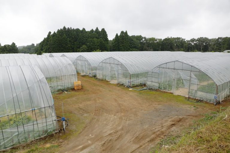 a plastic greenhouse,Farm Nagasu