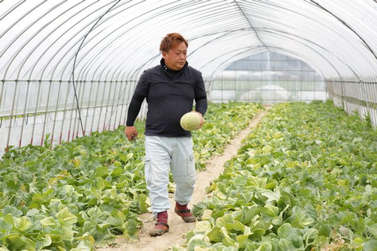 Farm Nagasu,Yosuke Nagasu