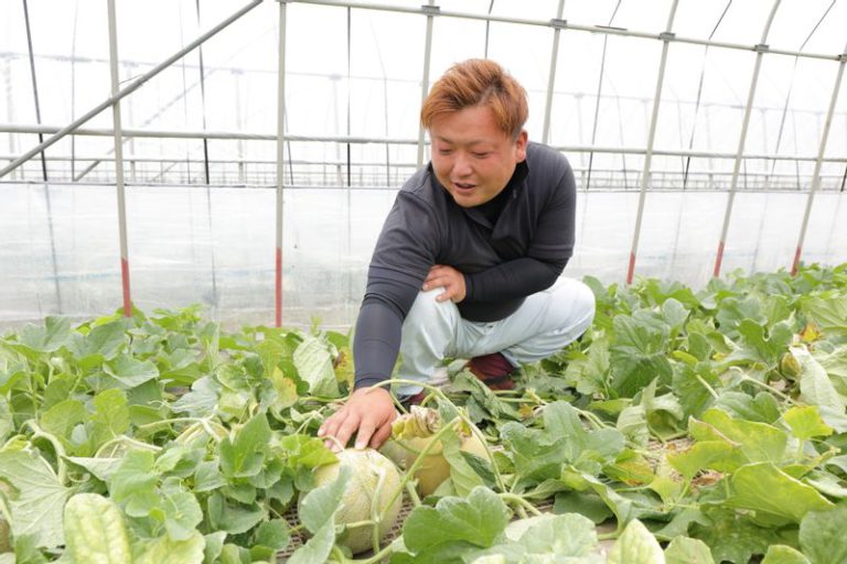 メロン「優香」の様子を確認する長洲陽介さん