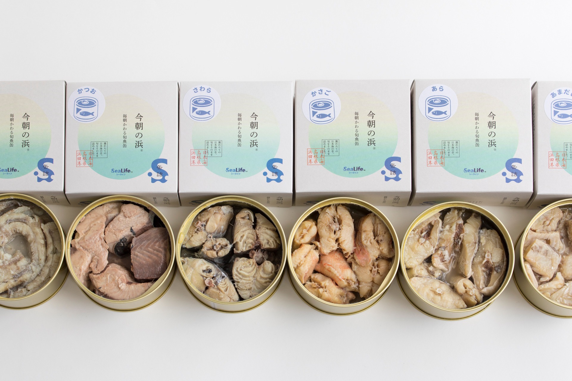 超希少 あがた森魚「永遠の遠国」おみやげ（未開封）限定品 あがた森魚