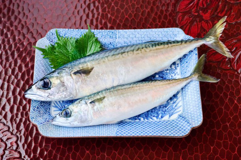A Connoisseur Explains How to Enjoy In-Season Mackerel
