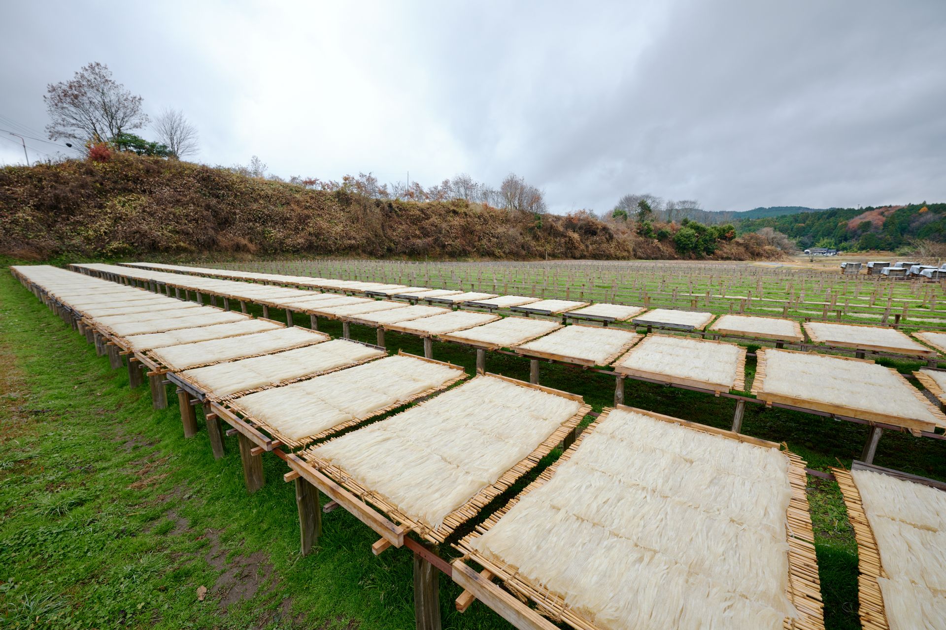 海で生まれて山で育つ。和菓子文化を支える山岡町の細寒天 : SHUN GATE
