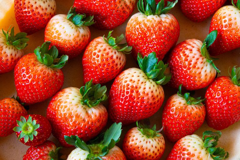 Bringing Vibrancy to the Efforts in Yoshida Village of a Strawberry Farmer to Make His Dreams a Reality