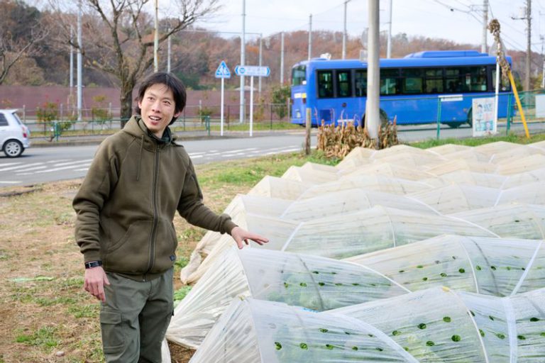 都道155号のそばの畑