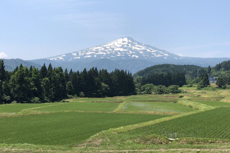 秋田の田園風景