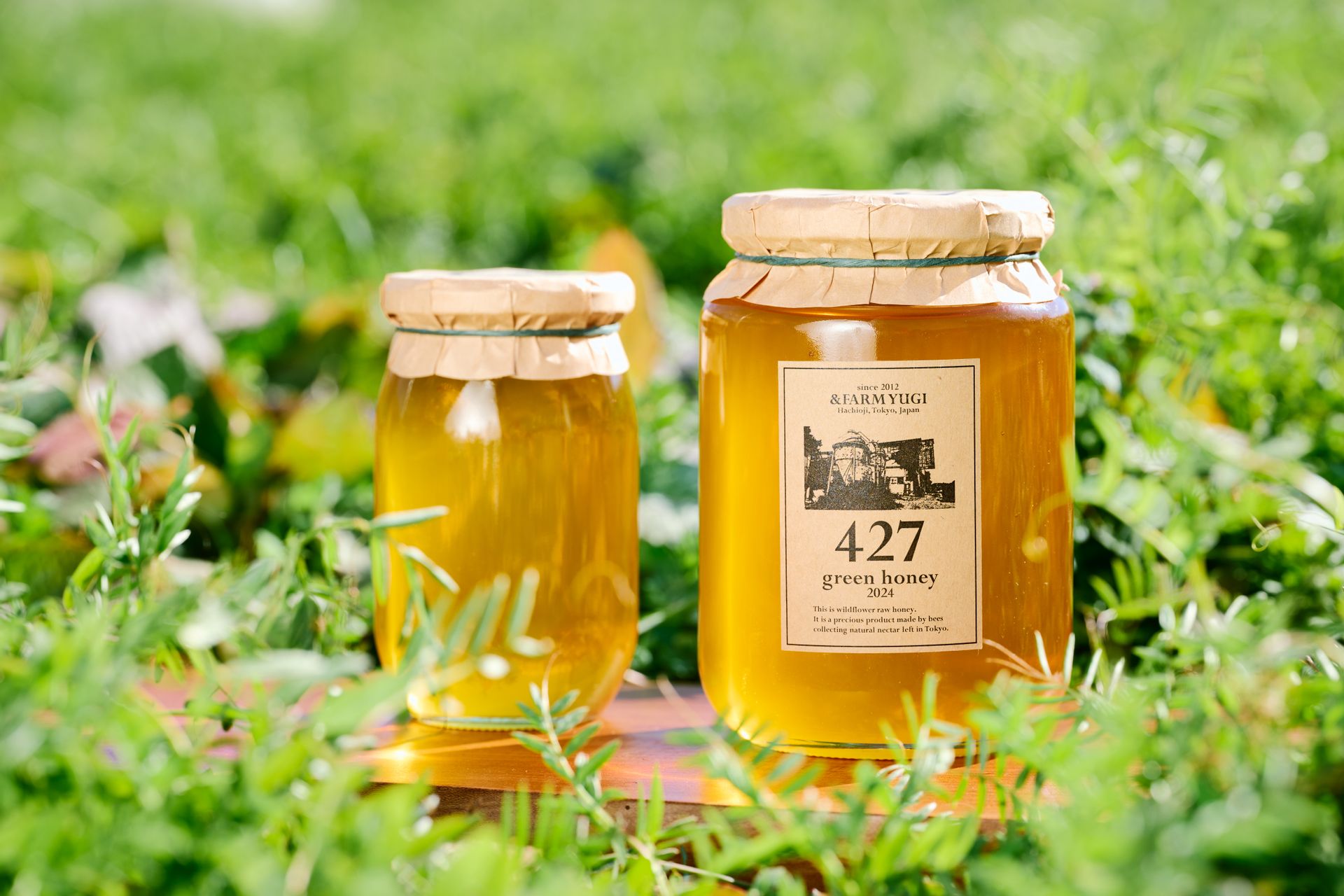 Capturing Spring: Green Honey from the Satoyama Landscape : SHUNGATE