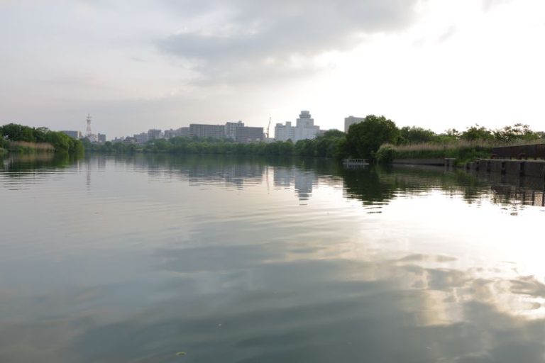 江戸川