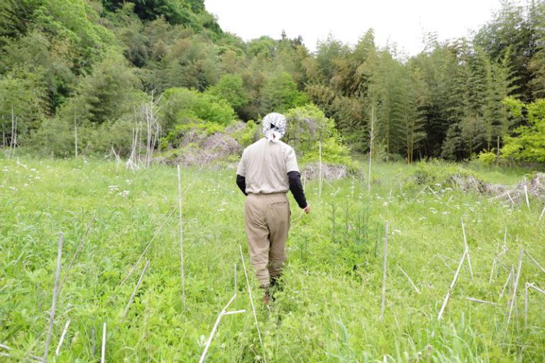 すどう農園の代表・須藤 章さん