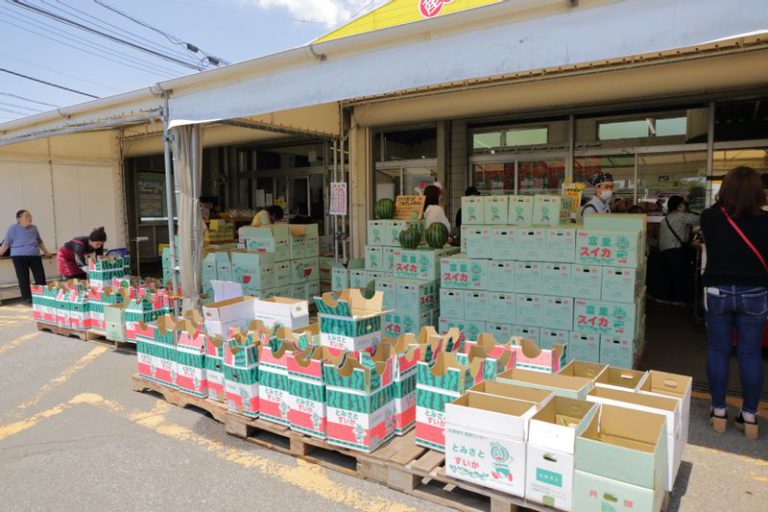 旬菜館