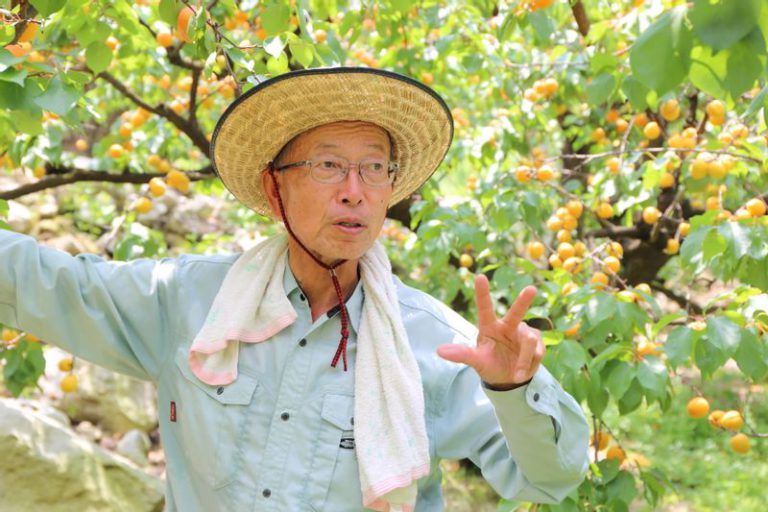 あんず農家の近藤修司さん